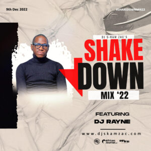 DJ Rayne - ShakeDownMix 22